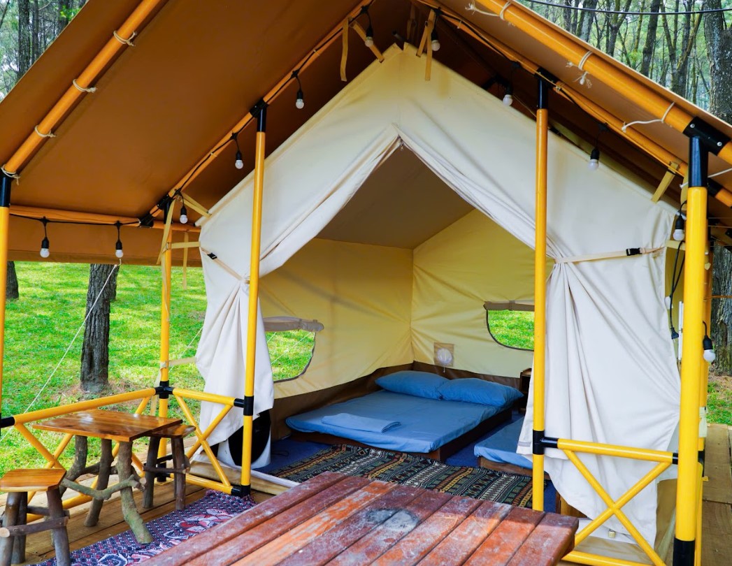 Amazing Camp