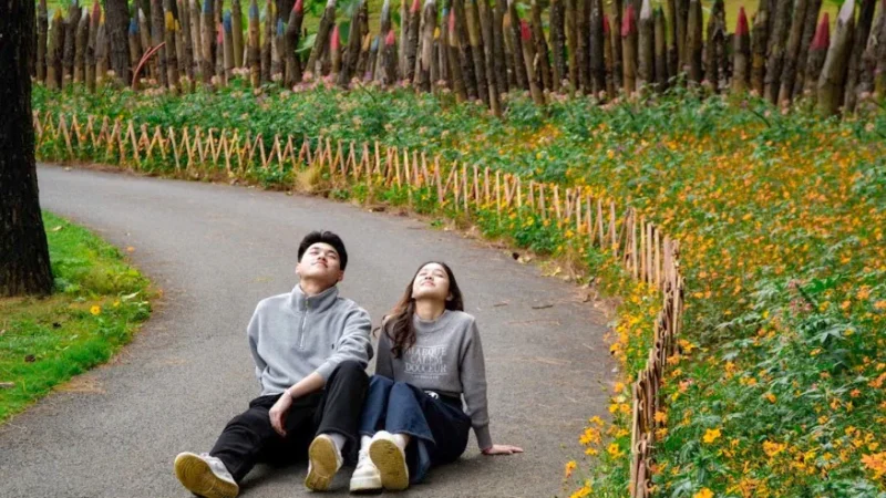 Hồ Đồng Chương mùa nào đẹp? Gợi ý thời điểm đi dễ chịu nhất